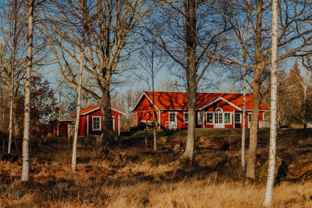 Clara Lilley Zy8mwd7r3e8 Unsplash